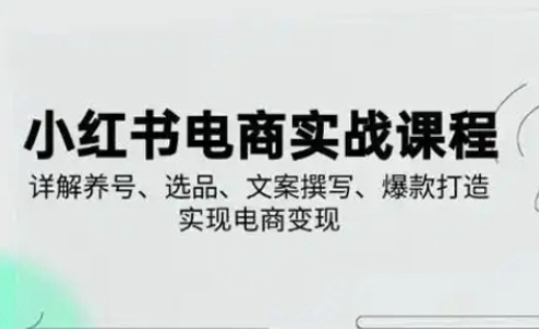 小红书从0-1实操课(2023-2025),详解养号、选品、文案撰写、爆款打造实现电商变现-爱上资源站