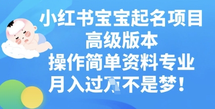 小红书宝宝起名项目高级版本,操作简单,资料专业,月入过W-爱上资源站