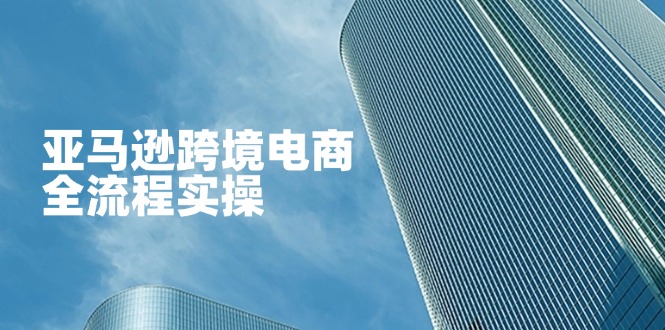 (14252期)亚马逊跨境电商全流程实操,教你从零开始,掌握店铺运营与广告技巧-爱上资源站