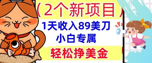2个新项目，轻松挣美金， 1天收入89美刀，小白专属，干货分享-爱上资源站