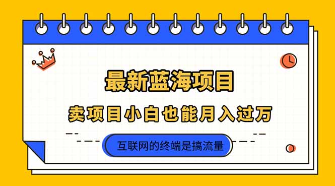 (14289期)2025年最新蓝海项目,卖项目小白也能月入过万-爱上资源站
