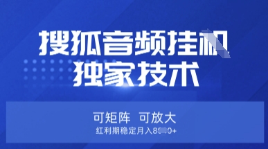 【搜狐音频挂G】独家技术,可矩阵可放大,红利期稳定月入8k【揭秘】-爱上资源站