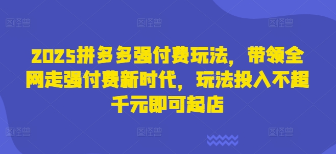 2025拼多多强付费玩法,带领全网走强付费新时代,玩法投入不超千元即可起店-爱上资源站