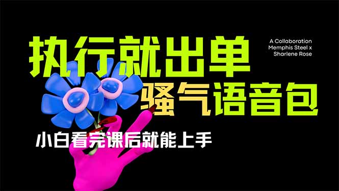 (14170期)爆火全网的开车导航骚气语音包,只要执行就出单,小白看完课程就能实操...-爱上资源站