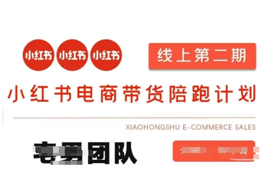 小红书电商带货课2期,月利润20个的小红书电商的有货源,无货源,虚拟产品,付费投流等整套玩法-爱上资源站